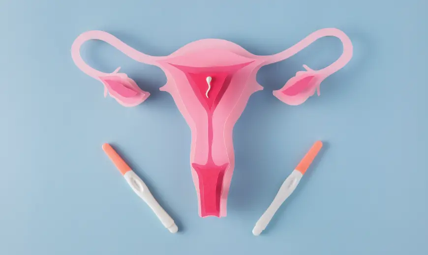 Early Signs IUI Is Working