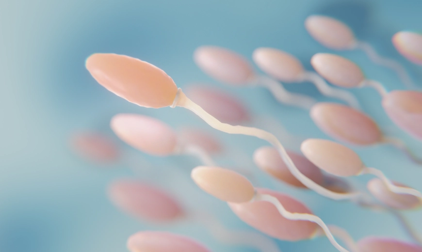 Sperm Motility vs Count